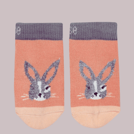 Mollie Rose the Bunny socks flat lay