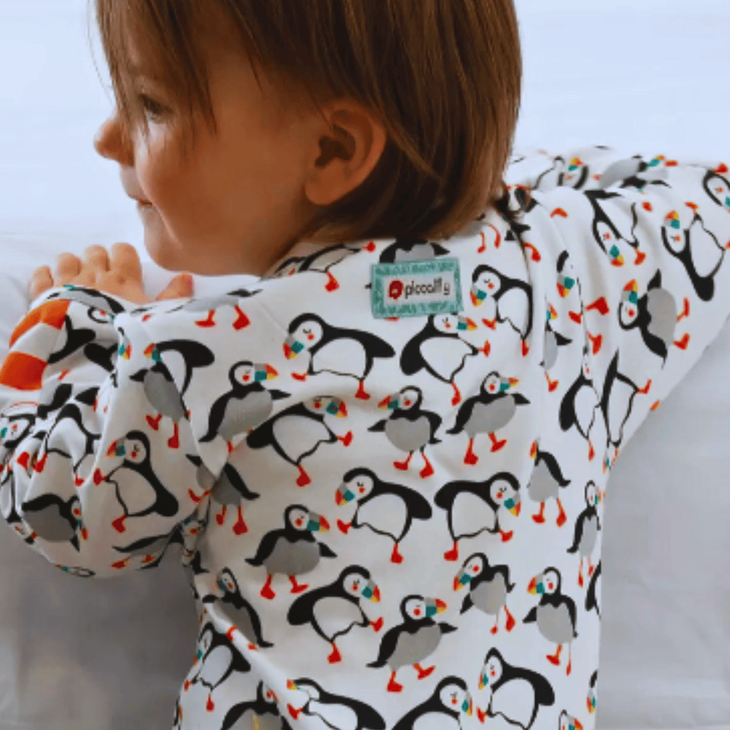 Puffin Sleepsuit - Baby Back