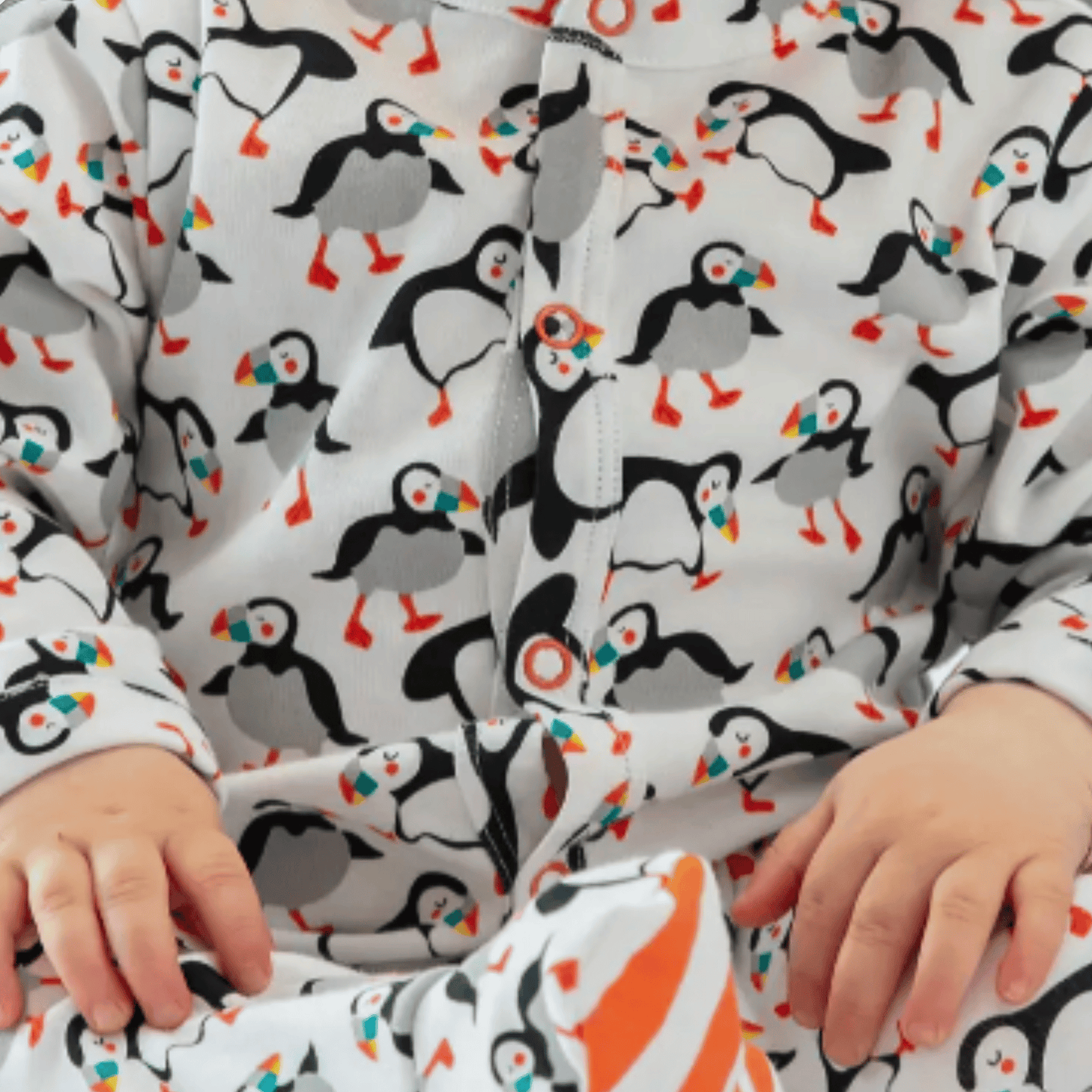 Sleepsuit Puffins Baby Front